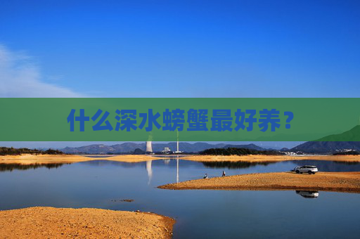 什么深水螃蟹最好养？