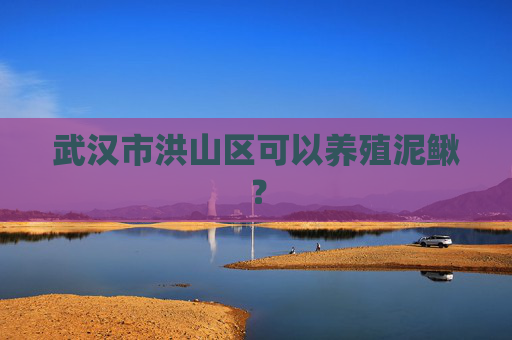 武汉市洪山区可以养殖泥鳅？