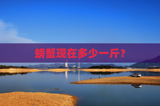 螃蟹现在多少一斤？