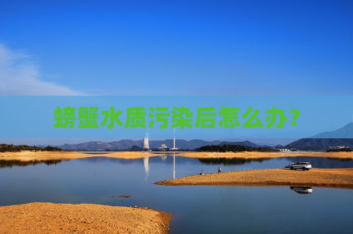 螃蟹水质污染后怎么办？