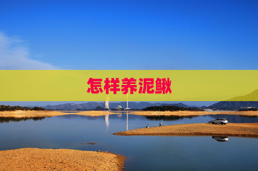 怎样养泥鳅