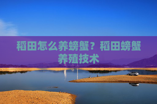 稻田怎么养螃蟹？稻田螃蟹养殖技术