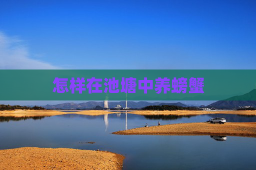 怎样在池塘中养螃蟹