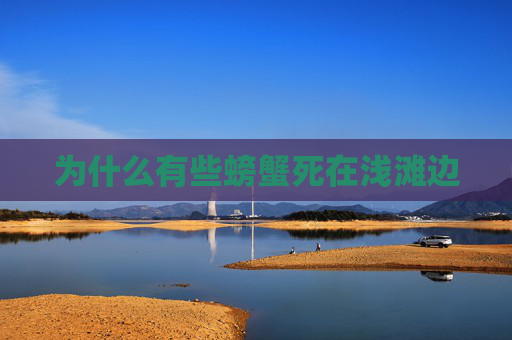 为什么有些螃蟹死在浅滩边
