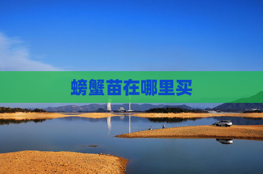螃蟹苗在哪里买