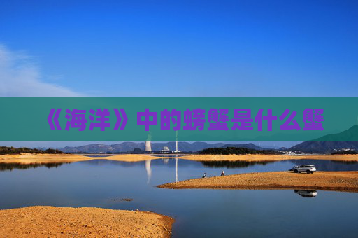 《海洋》中的螃蟹是什么蟹 《海洋》中的螃蟹是什么蟹