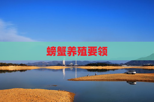 螃蟹养殖要领 螃蟹养殖要领