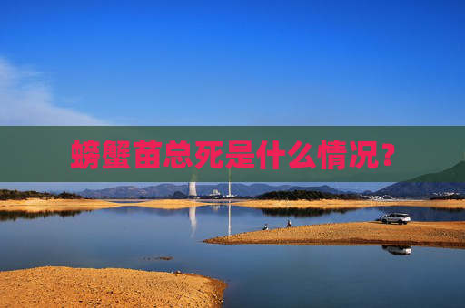 螃蟹苗总死是什么情况？