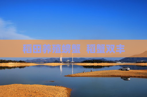 稻田养殖螃蟹  稻蟹双丰