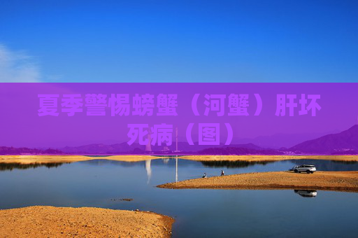 夏季警惕螃蟹(河蟹)肝坏死病(图) 夏季警惕螃蟹(河蟹)肝坏死病(图)