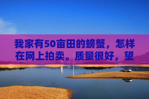 我家有50亩田的螃蟹,怎样在网上拍卖。质量很好,望好心网友指导 我家有50亩田的螃蟹,怎样在网上拍卖。质量很好,望好心网友指导