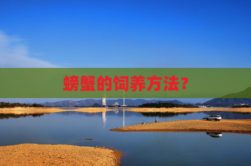 螃蟹的饲养方法? 螃蟹的饲养方法?