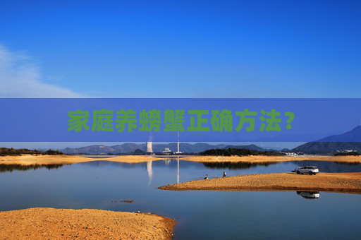 家庭养螃蟹正确方法？