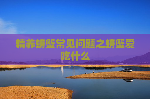 精养螃蟹常见问题之螃蟹爱吃什么