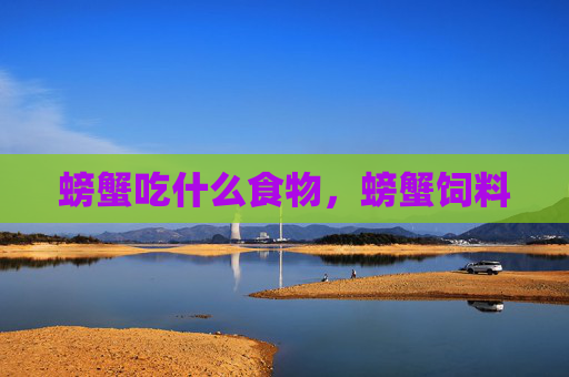 螃蟹吃什么食物，螃蟹饲料
