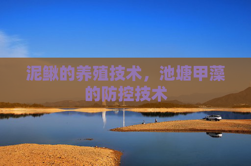 泥鳅的养殖技术，池塘甲藻的防控技术
