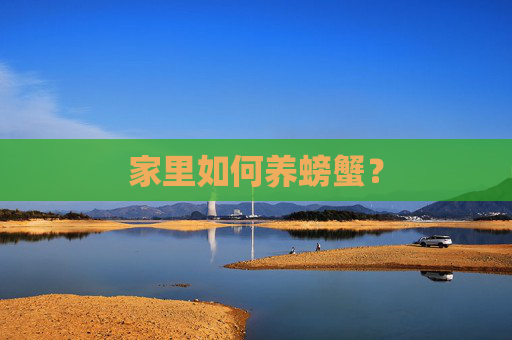 家里如何养螃蟹?