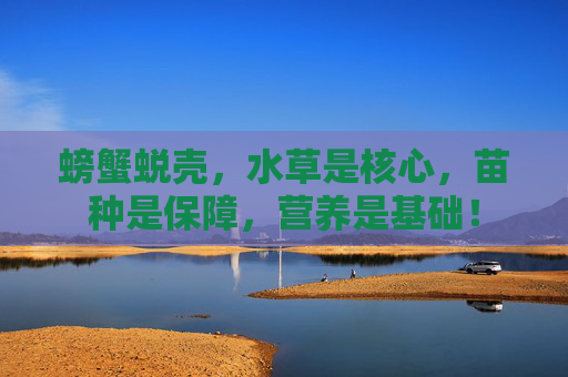 螃蟹蜕壳，水草是核心，苗种是保障，营养是基础！