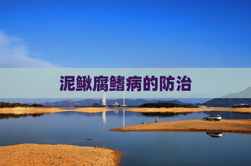 泥鳅腐鳍病的防治