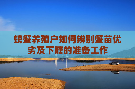 螃蟹养殖户如何辨别蟹苗优劣及下塘的准备工作