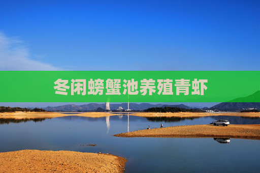 冬闲螃蟹池养殖青虾 冬闲螃蟹池养殖青虾