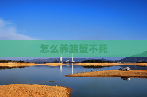 怎么养螃蟹不死