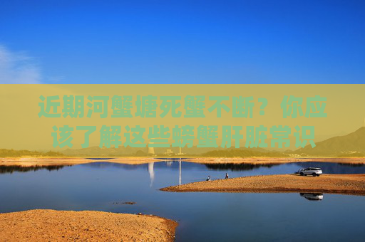 近期河蟹塘死蟹不断？你应该了解这些螃蟹肝脏常识