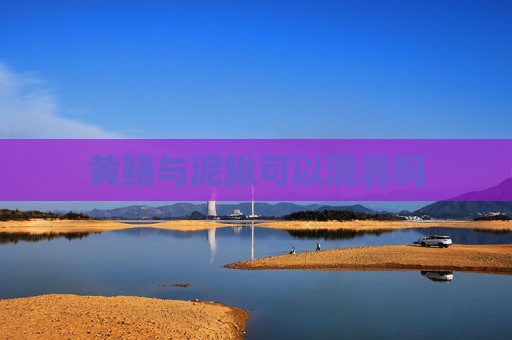 黄鳝与泥鳅可以混养吗