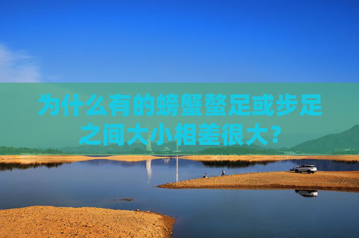为什么有的螃蟹螯足或步足之间大小相差很大?