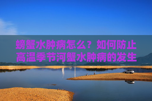 螃蟹水肿病怎么？如何防止高温季节河蟹水肿病的发生？