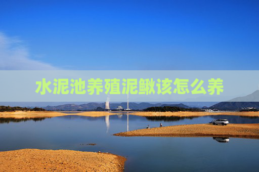 水泥池养殖泥鳅该怎么养 水泥池养殖泥鳅该怎么养