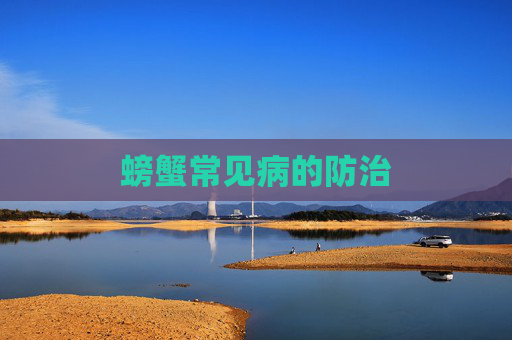 螃蟹常见病的防治
