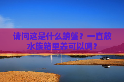 请问这是什么螃蟹？一直放水族箱里养可以吗？