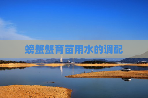 螃蟹蟹育苗用水的调配