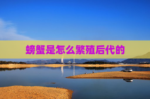 螃蟹是怎么繁殖后代的