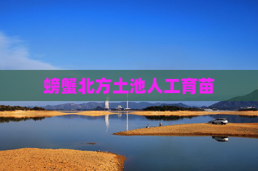螃蟹北方土池人工育苗