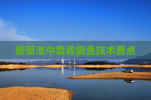 螃蟹池中套养鳜鱼技术要点