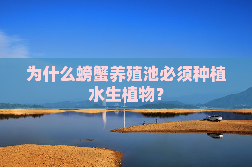 为什么螃蟹养殖池必须种植水生植物？