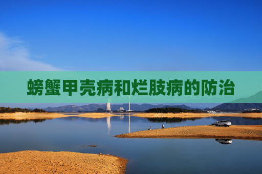 螃蟹甲壳病和烂肢病的防治
