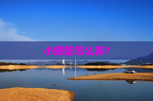 小螃蟹怎么养? 小螃蟹怎么养?