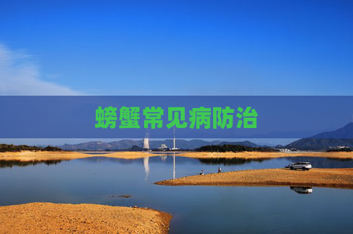 螃蟹常见病防治