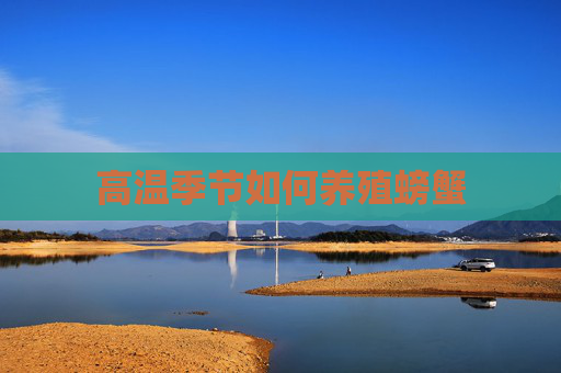 高温季节如何养殖螃蟹