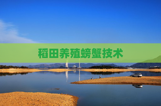 稻田养殖螃蟹技术