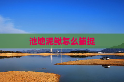 池塘泥鳅怎么捕捉
