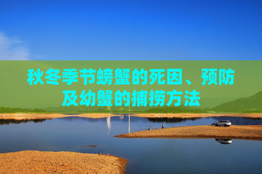 秋冬季节螃蟹的死因、预防及幼蟹的捕捞方法