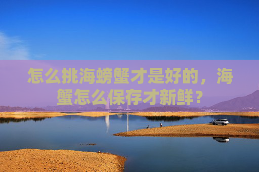 怎么挑海螃蟹才是好的，海蟹怎么保存才新鲜？