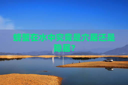 螃蟹在水中究竟是穴居还是隐居?