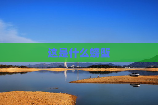 这是什么螃蟹