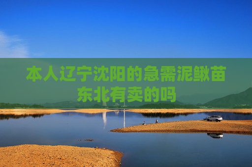 本人辽宁沈阳的急需泥鳅苗东北有卖的吗