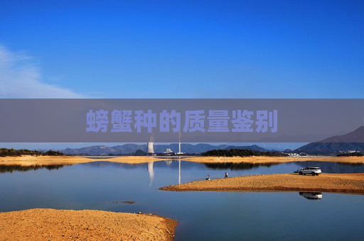 螃蟹种的质量鉴别
